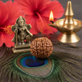 6 Mukhi Rudraksha bead on peacock feather with Kartikeya idol and hibiscus