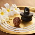 1 Mukhi Rudraksha bead on golden plate with Shiva lingam
